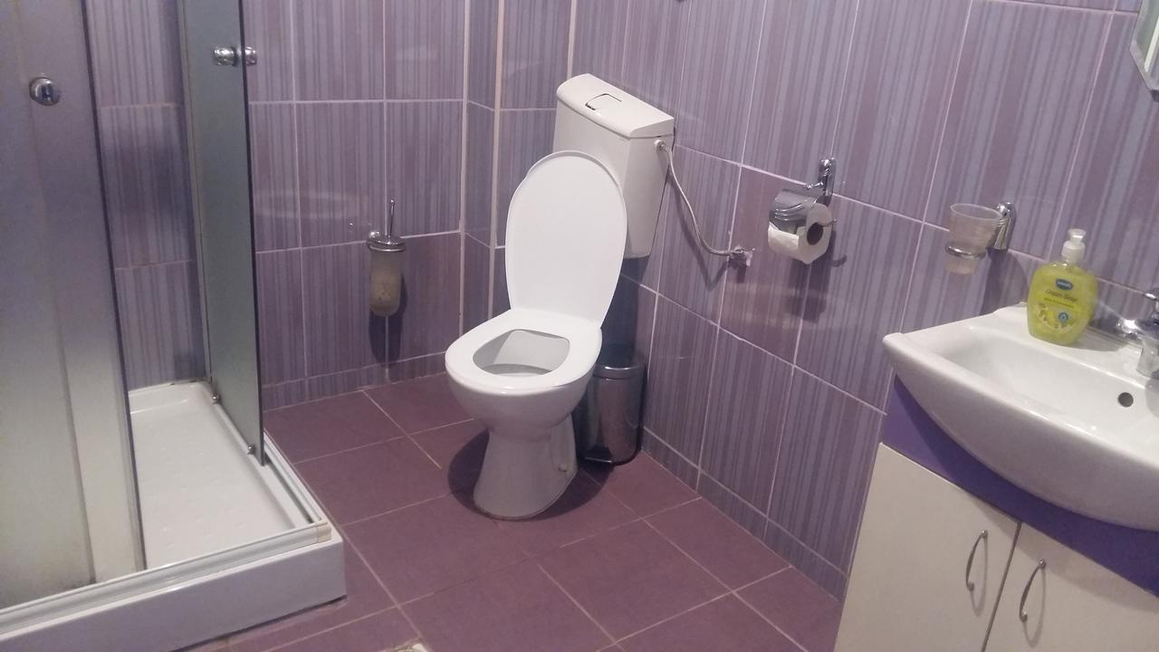 Cazare Palace Petroszany Zewnętrze zdjęcie